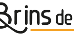 Logo — Brins de Filles